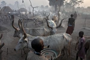Southern Sudan - My life in a cattle camp 1