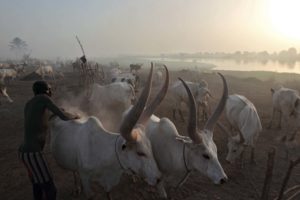 Southern Sudan - My life in a cattle camp 1