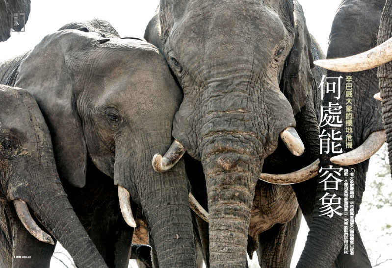 Zimbabwe | Habitat crisis for elephants 1