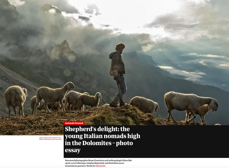 Photo essay | Shepherd’s delight: the young Italian nomads high in the Dolomites 1
