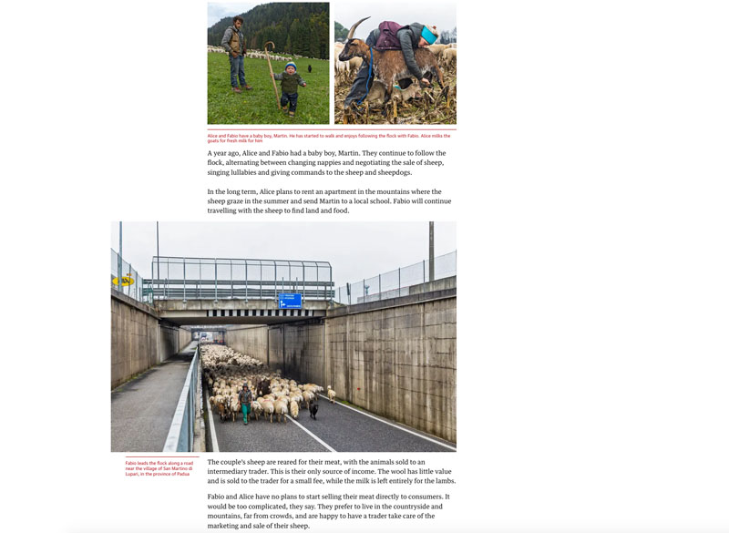 Photo essay | Shepherd’s delight: the young Italian nomads high in the Dolomites 3