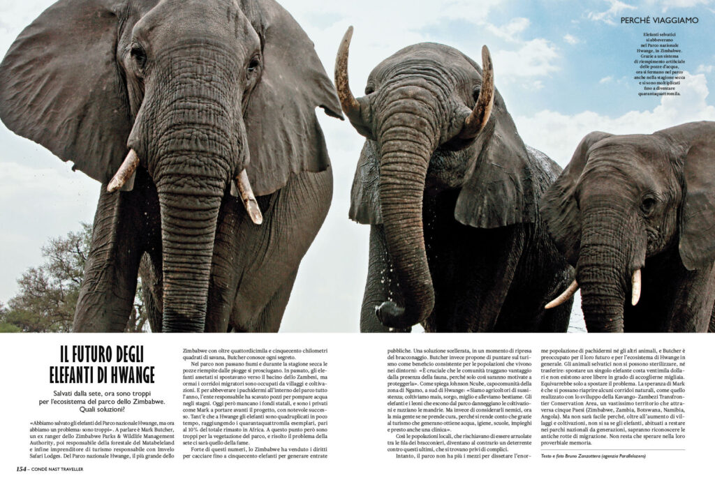 Zimbabwe | Il futuro degli elefanti di Hwange 1