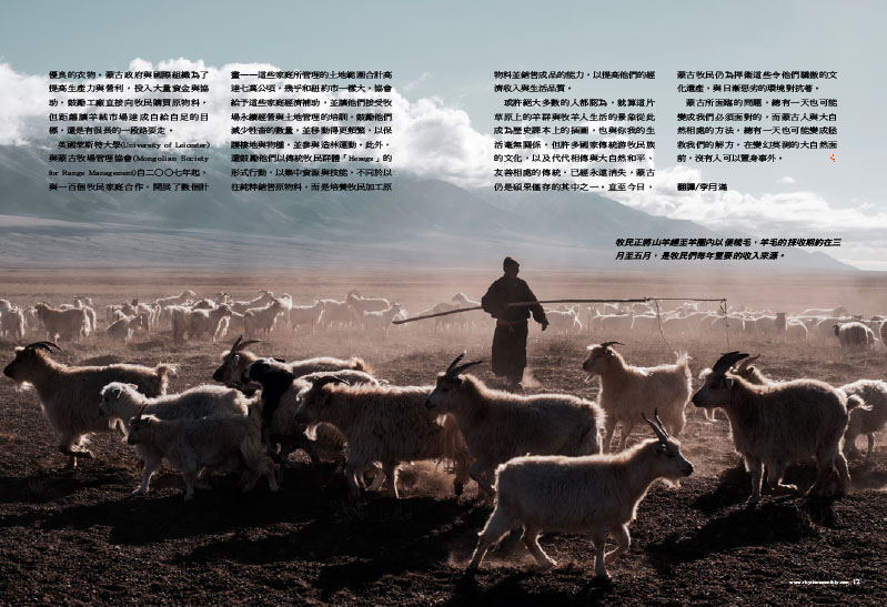 Sustainable survival for Mongolian herders. Looking for the golden fleece 6