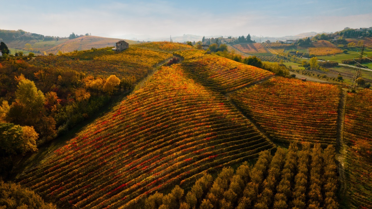 Langhe, the Good Life that appeals to the world