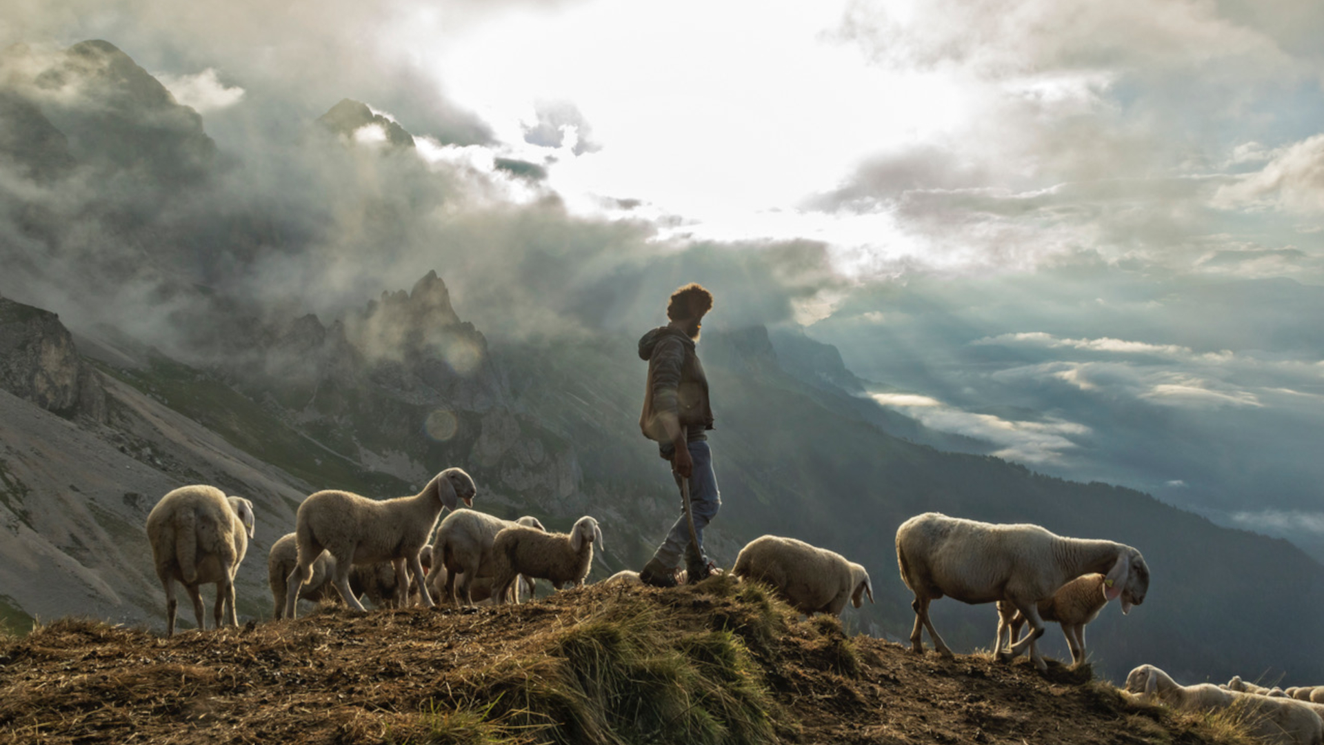 “Pascolo Vagante” premiato al Lessinia Film Festival